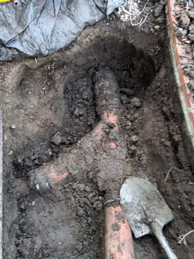 Slide of Blue Shark Rooter And Plumbing