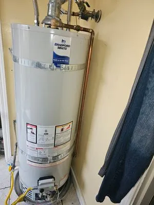 Blue Shark Rooter And Plumbing Logo