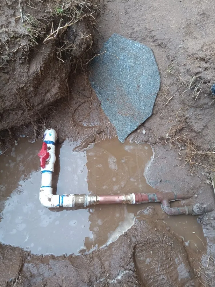 Slide of Blue Shirt Handyman