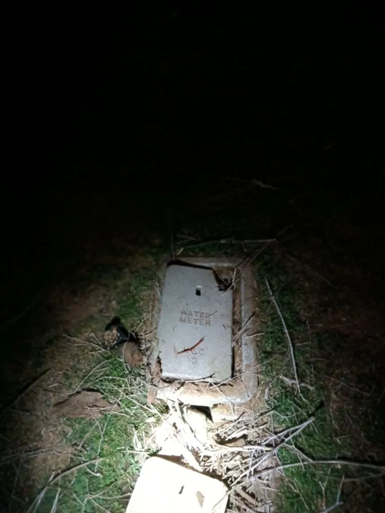 Slide of Blue Shirt Handyman