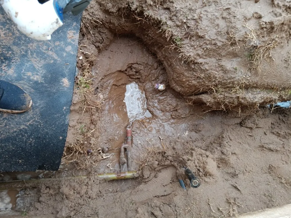 Slide of Blue Shirt Handyman