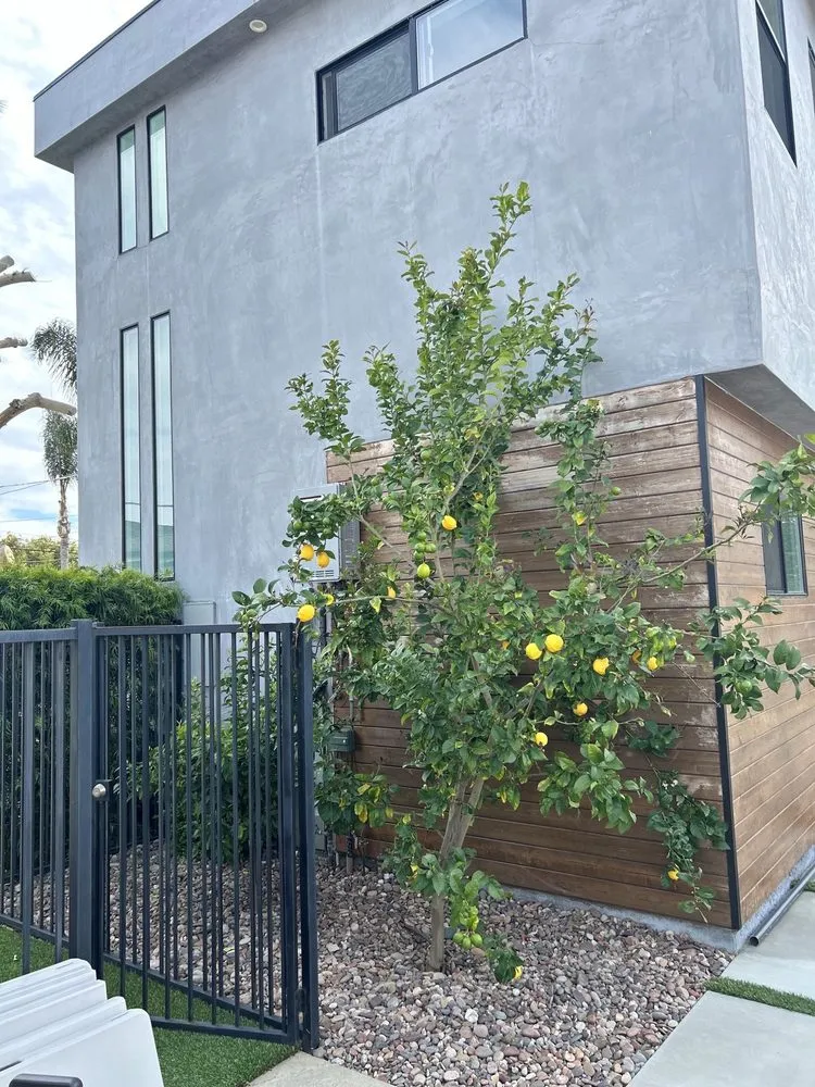 Slide of Bluebird Builders