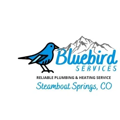 Slide of Bluebird Services