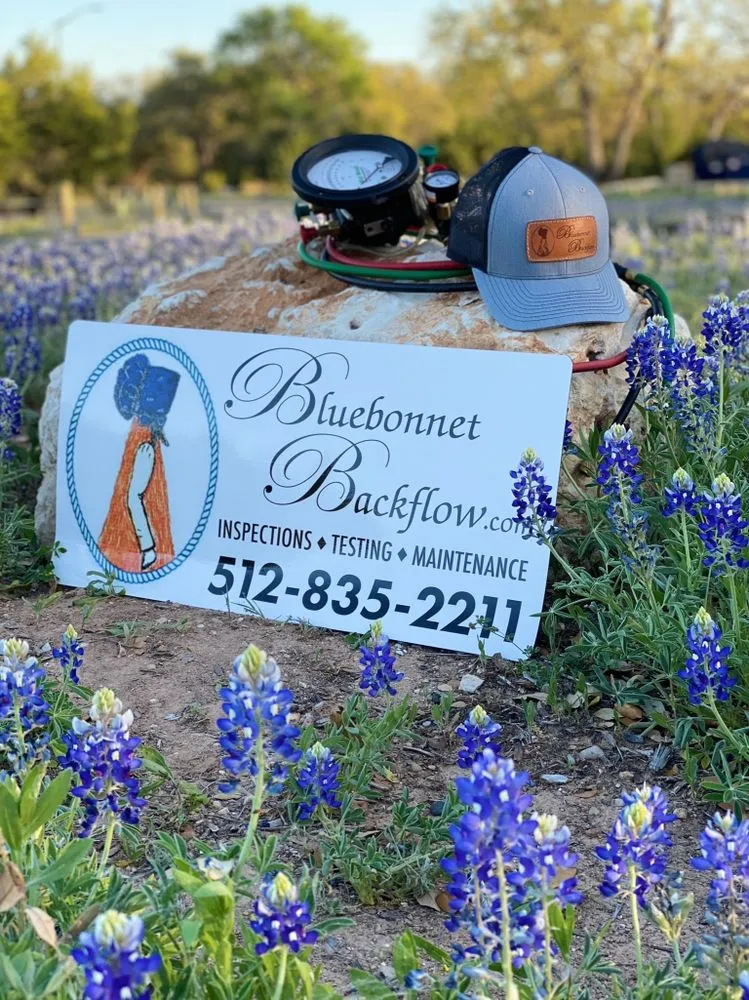 Slide of Bluebonnet Backflow