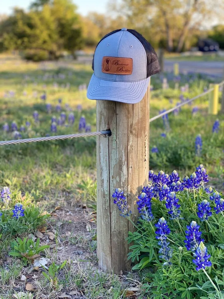 Slide of Bluebonnet Backflow