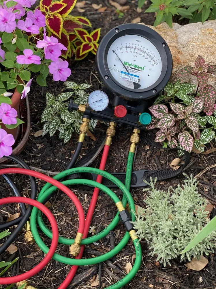 Slide of Bluebonnet Backflow