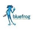 Slide of BlueFrog Plumbing & Drain