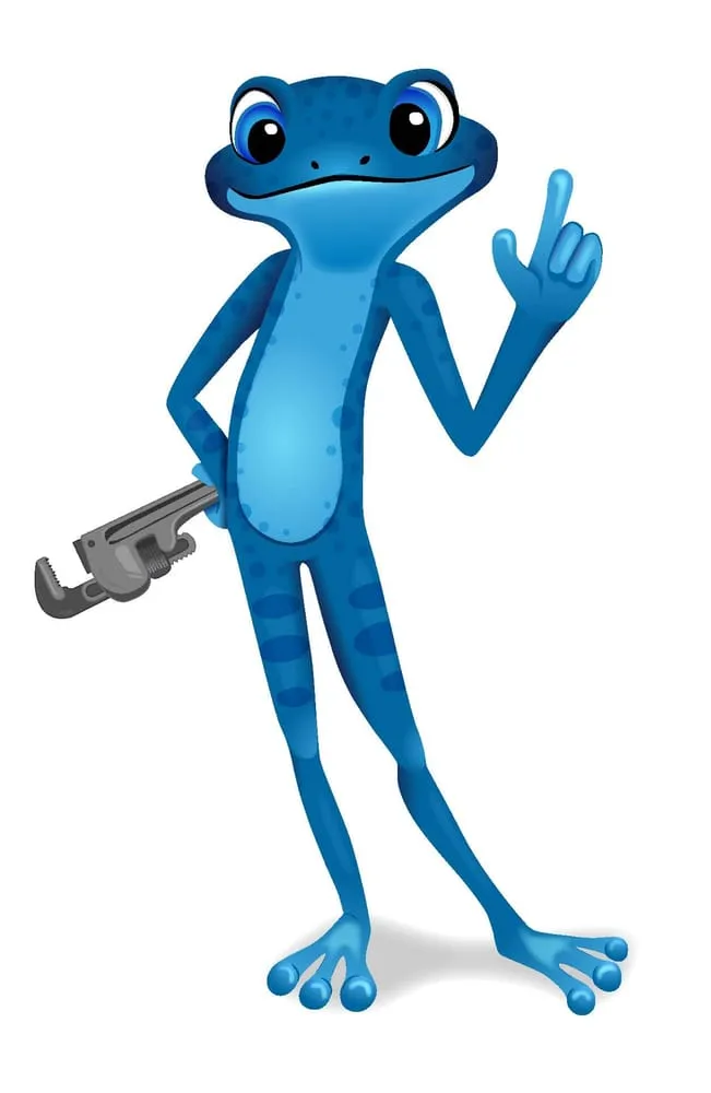 Slide of Bluefrog Plumbing + Drain