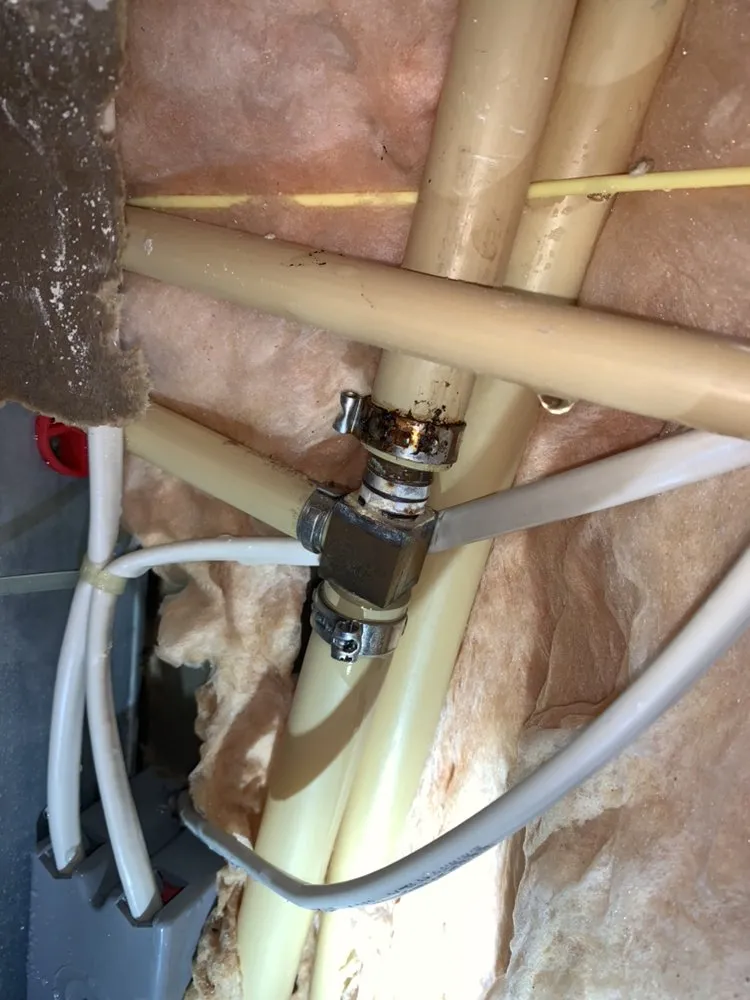 Slide of Bluefrog Plumbing + Drain