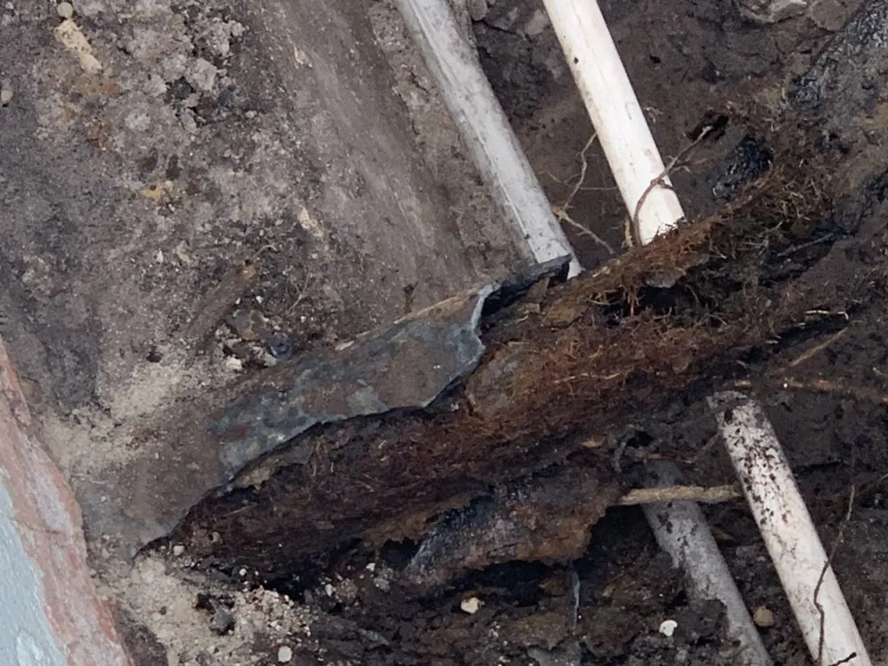 Slide of Bluefrog Plumbing + Drain