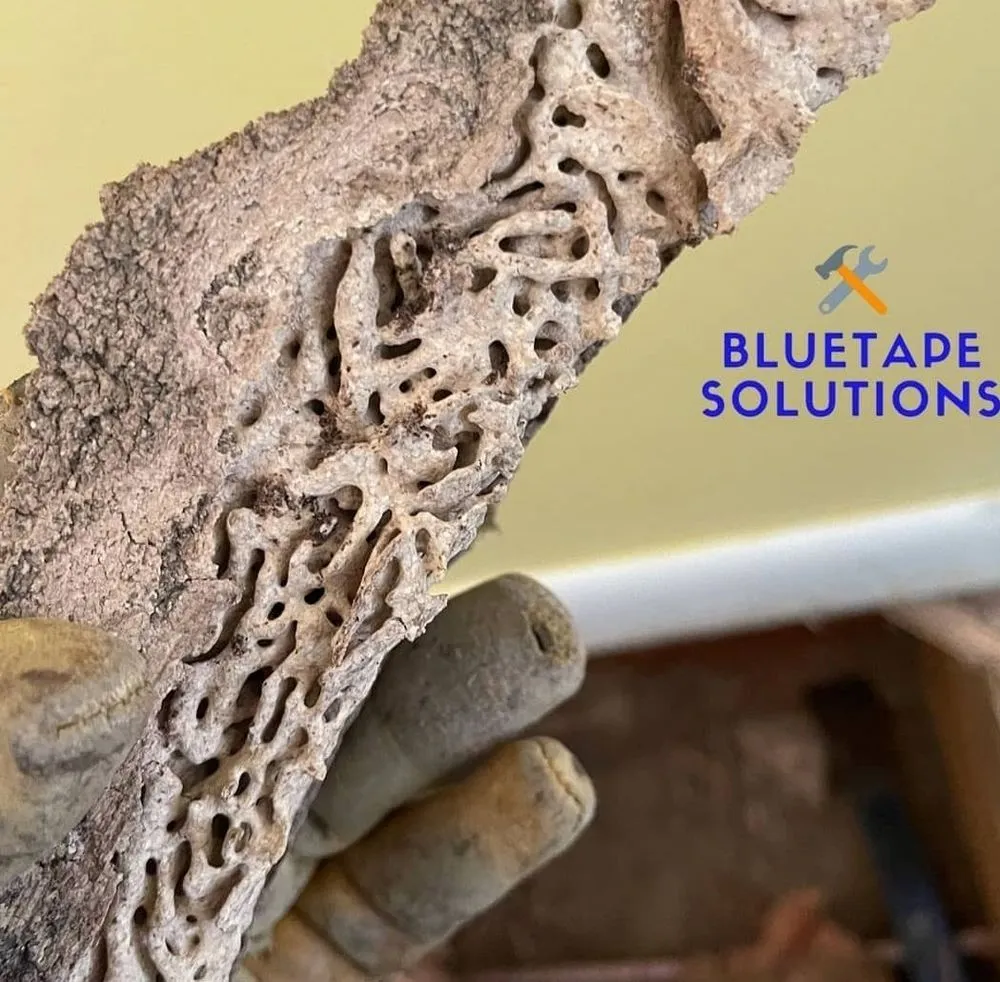 Slide of BlueTape Solutions