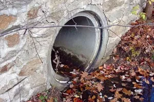 Slide of Blueworks Company