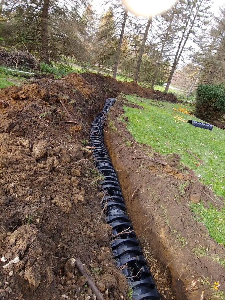 Quality drain cleaning service in Des Plaines, IL - BNB Rooter Express