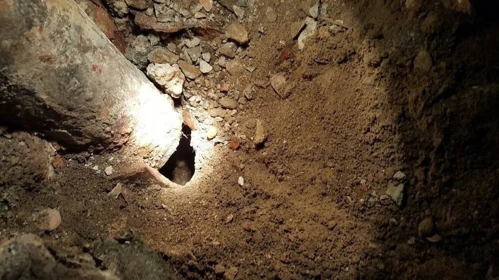 Slide of BNB Rooter Express