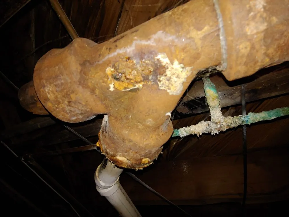 Slide of BNB Rooter Express