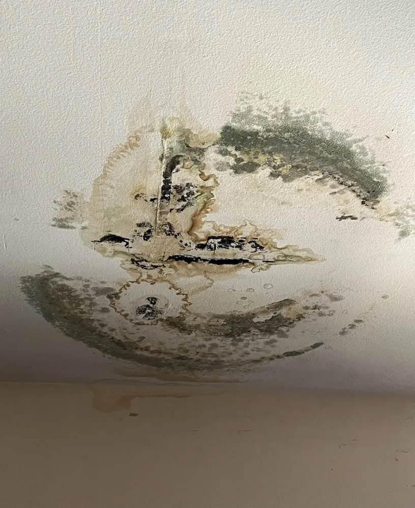 Quality drain cleaning for homes in Chula Vista, CA by Bob the Plumber