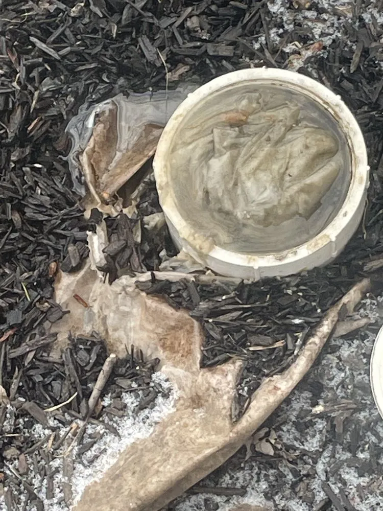 Slide of Bob The Plumber