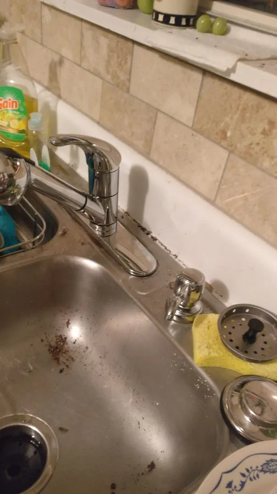 Slide of Bobo Plumbing