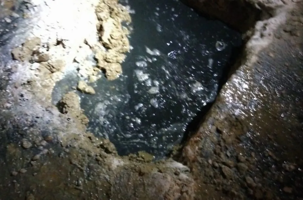 Slide of Bob's Root'r Service