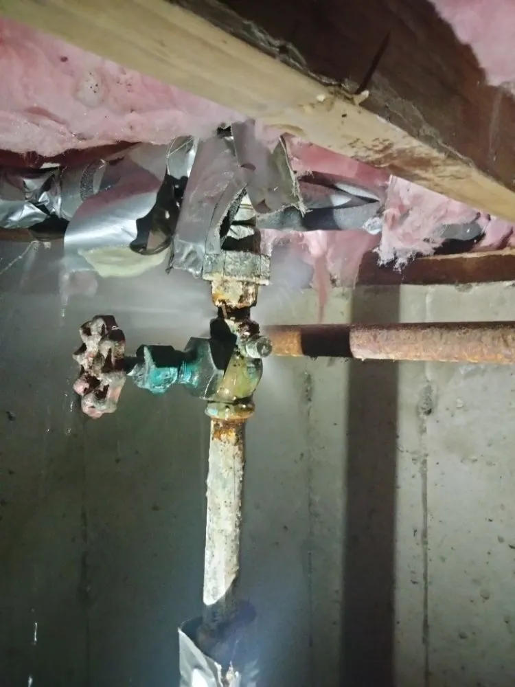 Slide of Bob's Root'r Service