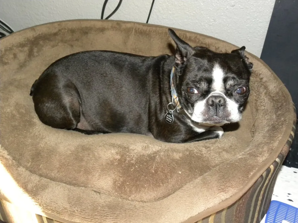 Trusted pipe repair service in Sonoma, CA - Boden Plumbing Heating & Air