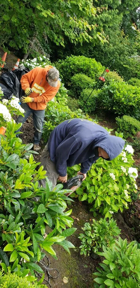 Slide of Bodine Construction Services