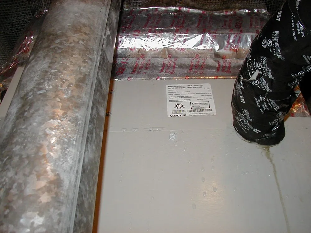 Professional pipe repair in Corpus Christi, TX by Bodine-Scott Air Conditioning & Plumbing