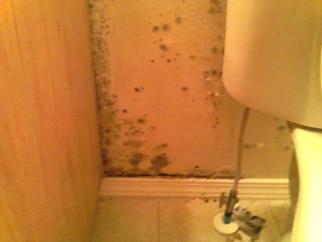 Slide of Boise City Handyman