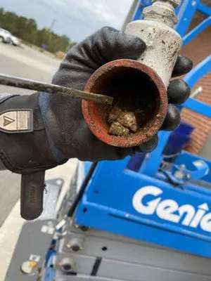 Bold Fire Protection Logo