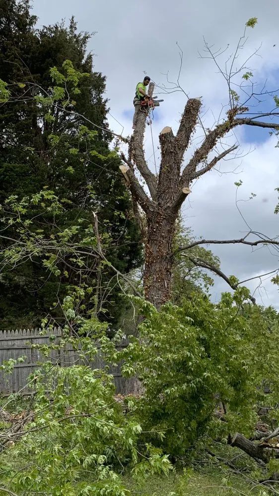 Slide of Bonilla Lumber Jacks