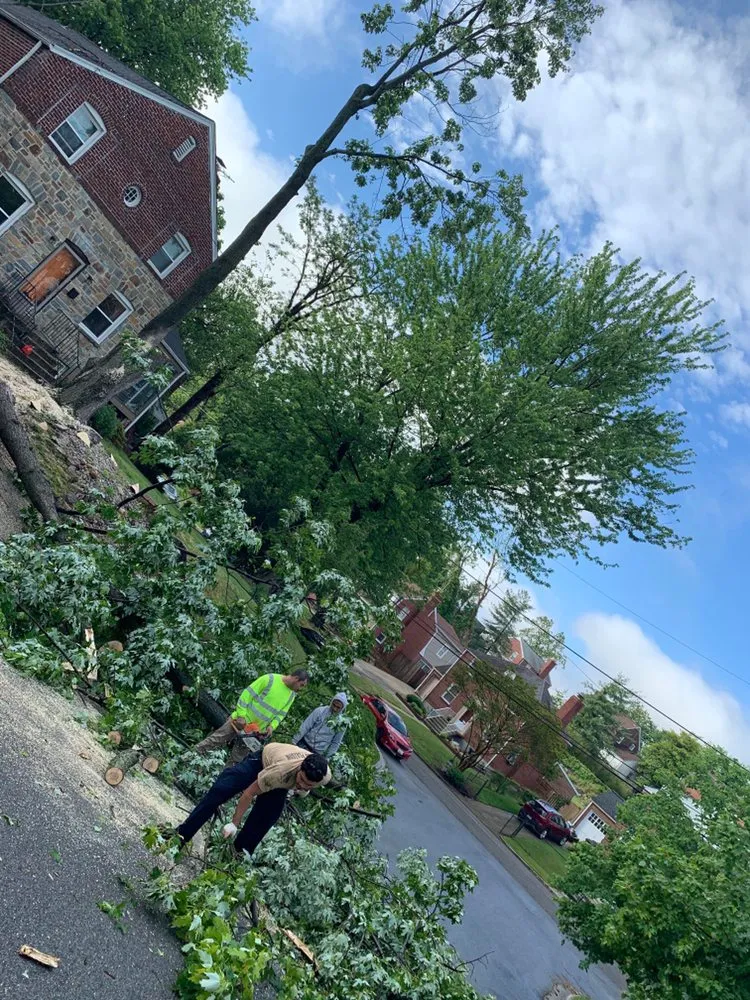 Slide of Bonilla Lumber Jacks