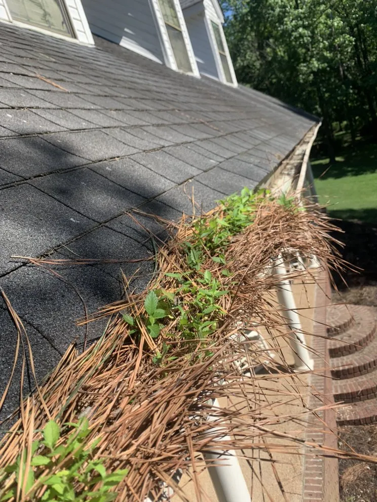 Slide of Boone Outdoor Services