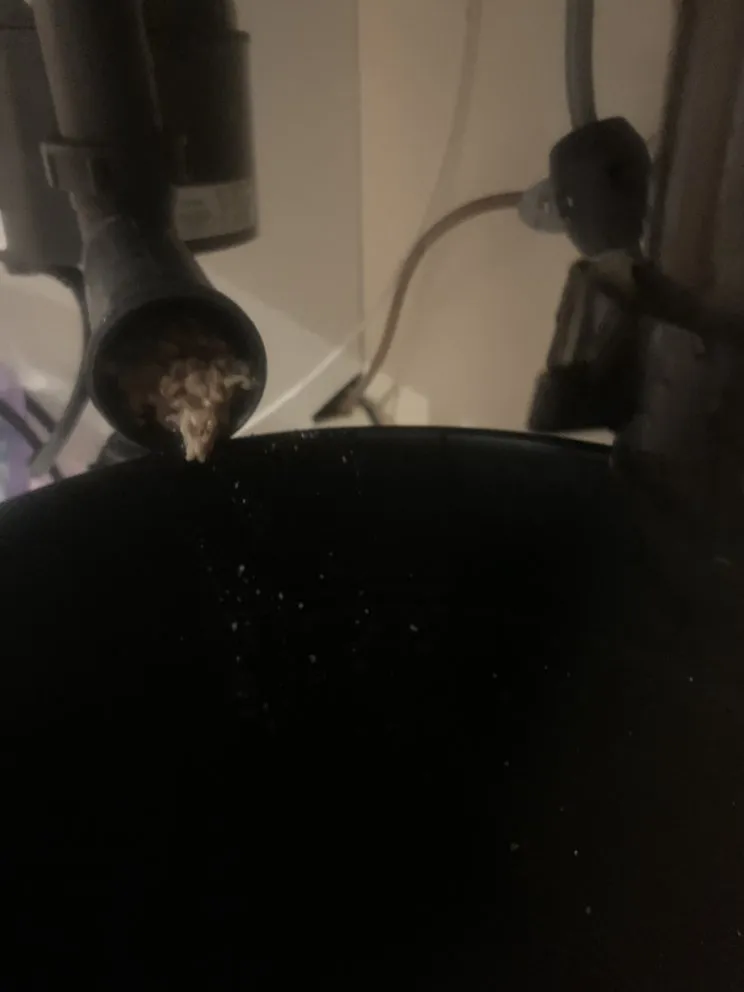 Slide of Boothney & Sons Plumbing