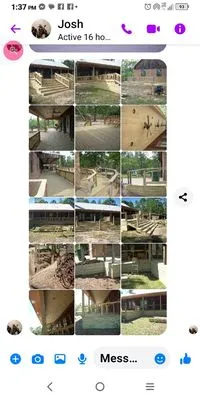 Bo's Anything & Everything