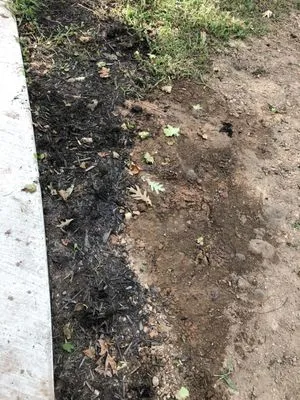 Bosma Sewer & Water Plumbing Logo