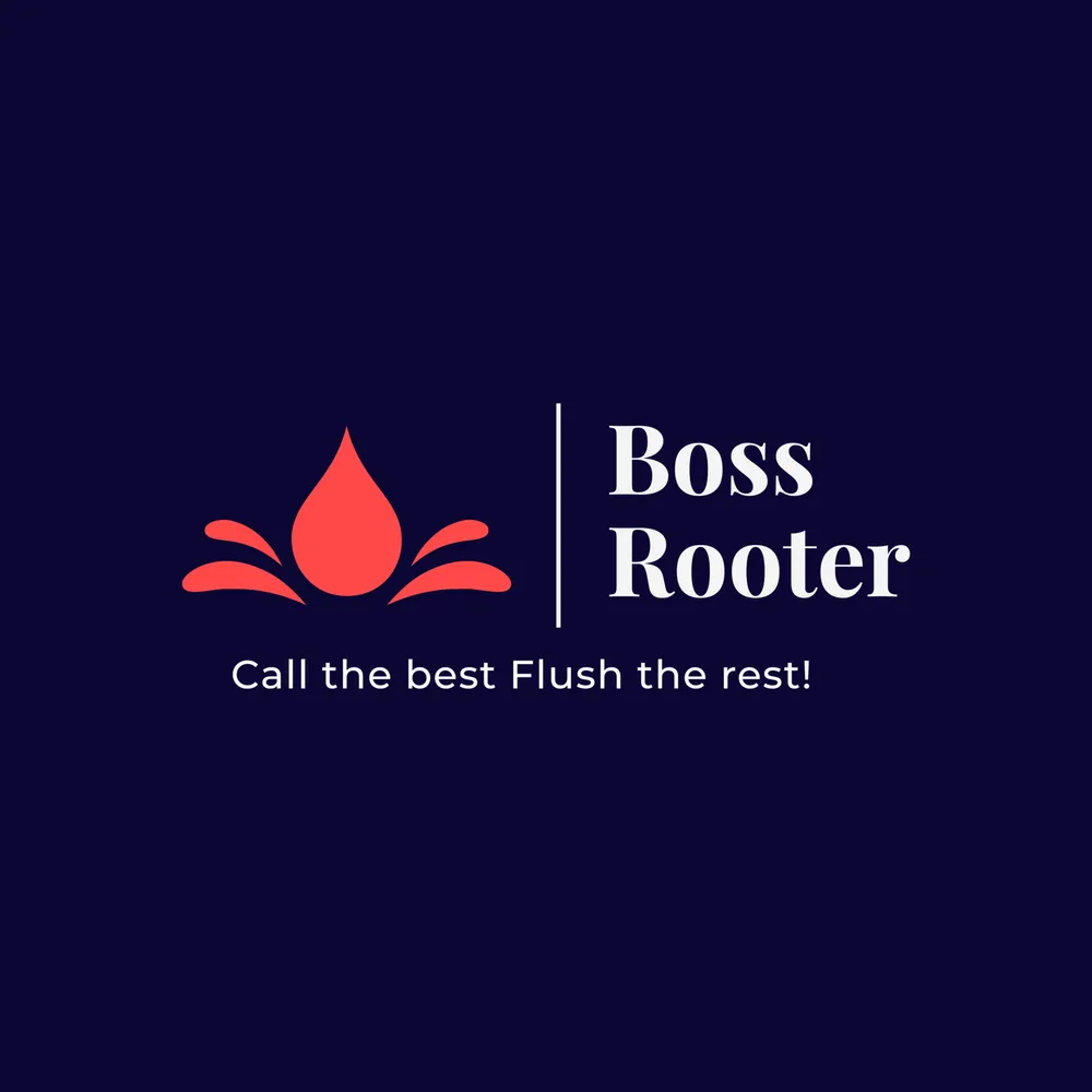 Slide of Boss Rooter