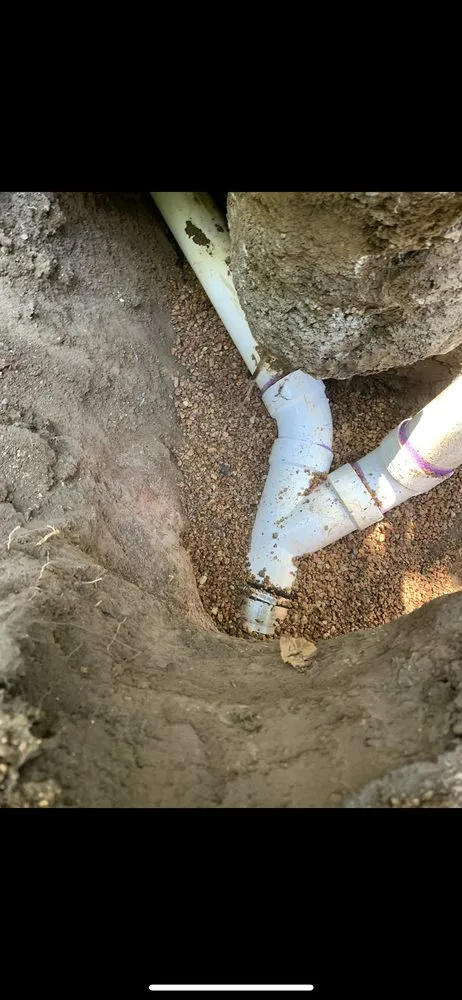 Slide of Boss Rooter