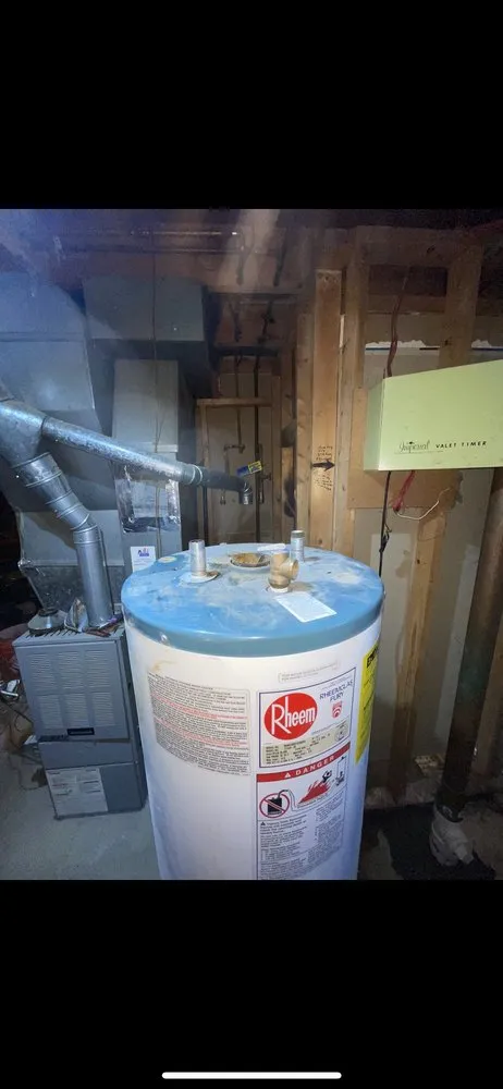 Slide of Boss Rooter