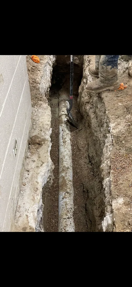 Slide of Boss Rooter