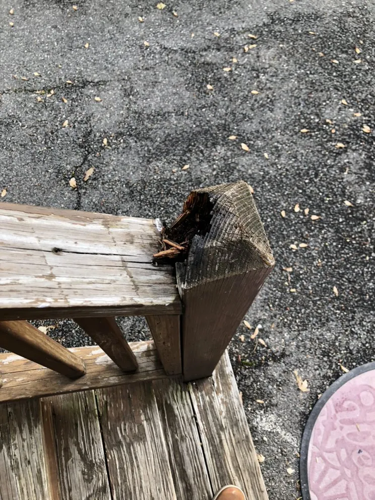 Slide of Boston Paint Brush