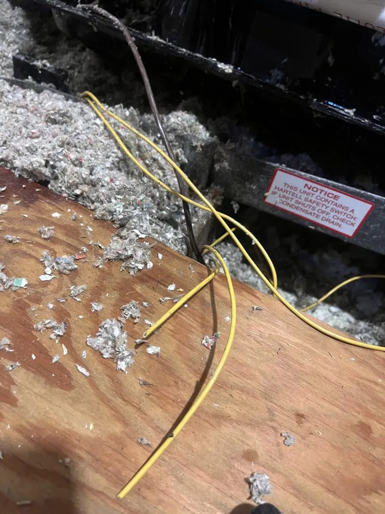 Quality plumbing repair experts serving Mattapan, MA - Boston Standard Company