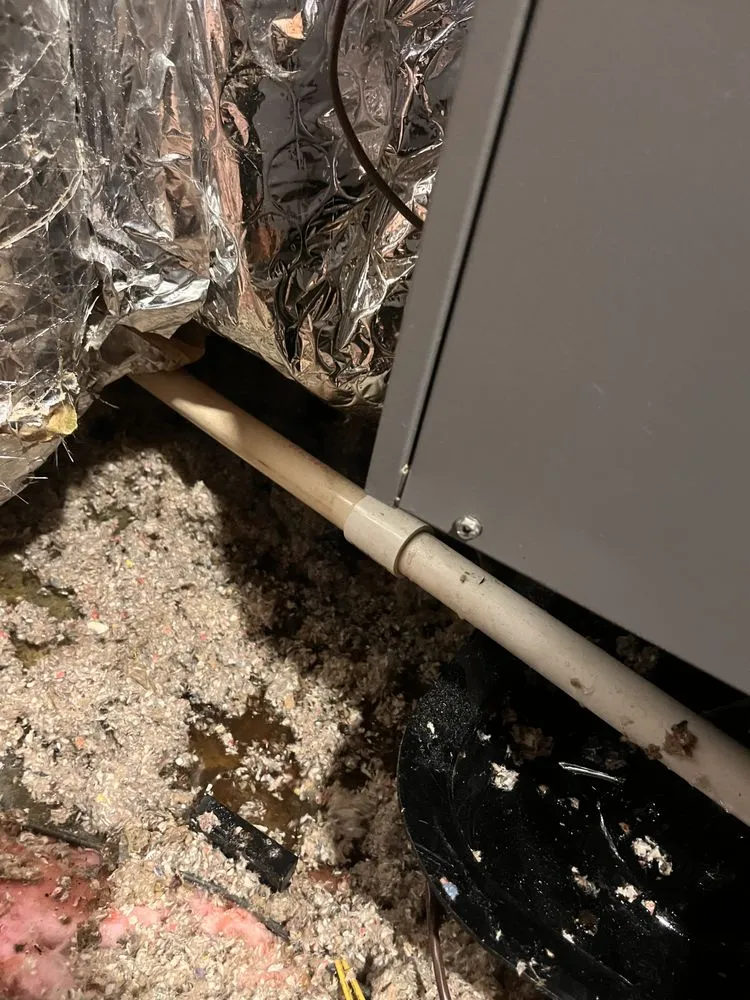 Affordable water heater service for homes in Mattapan, MA by Boston Standard Company