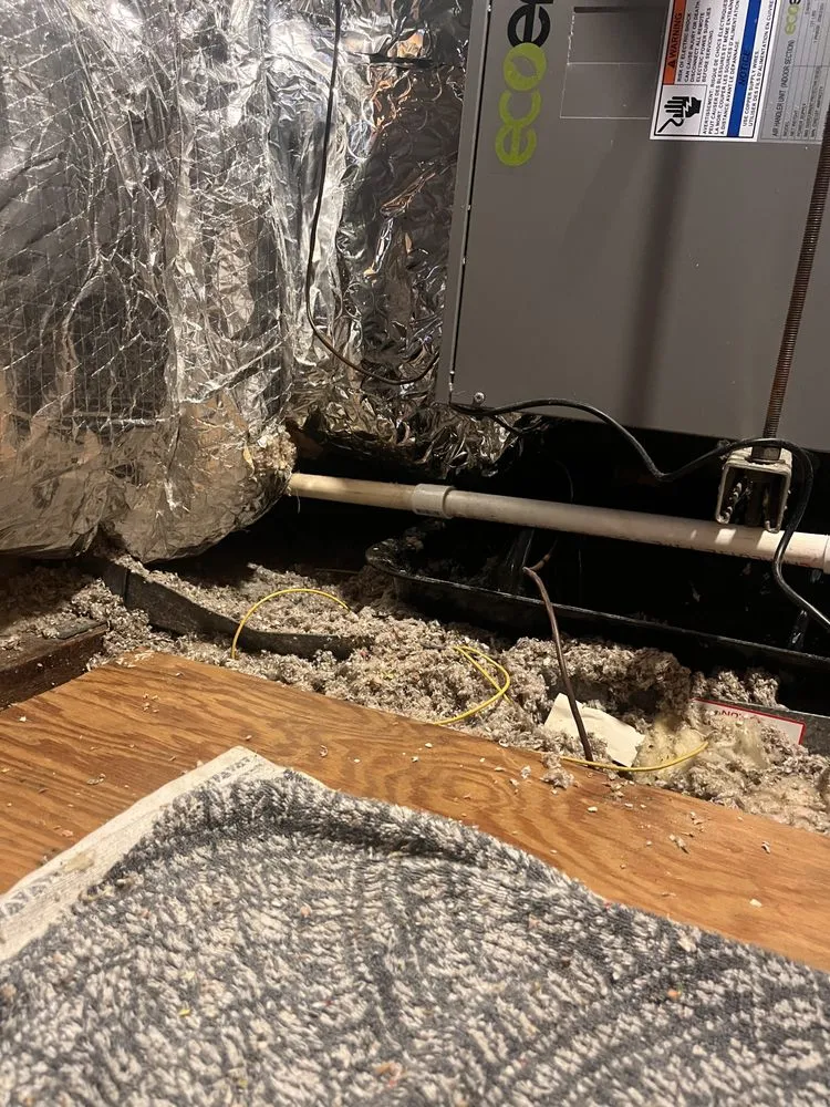 Professional emergency plumbing for homes in Mattapan, MA by Boston Standard Company