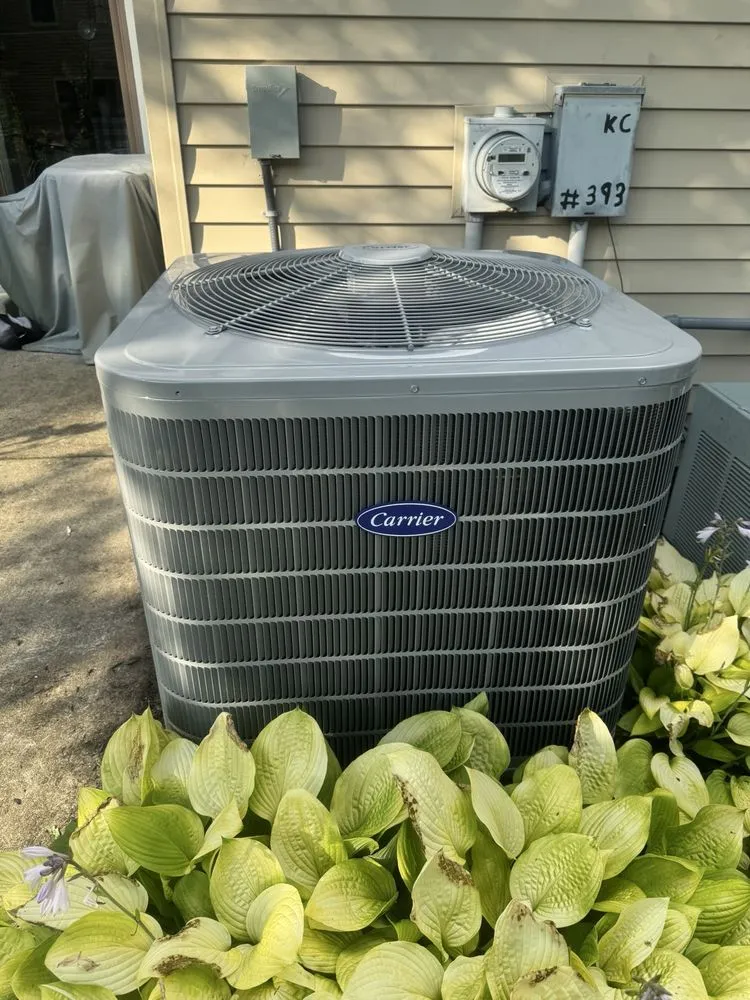 Slide of Bovio Rubino Service