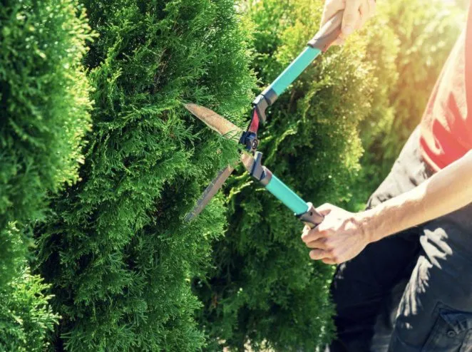 Slide of Bowman Sales And Services