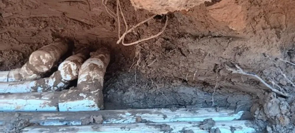 Slide of Box Construction