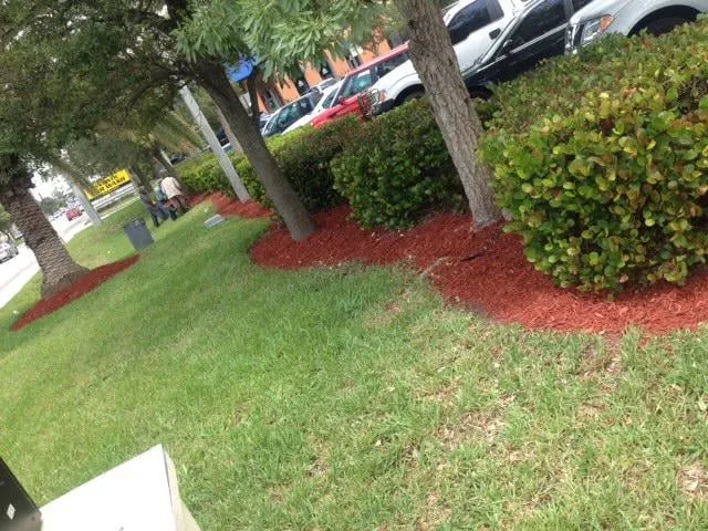 Slide of BP Maintenance Group