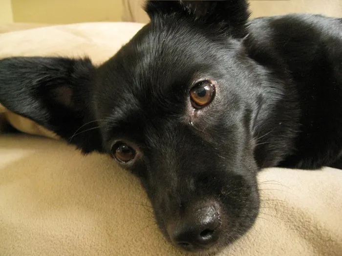 Slide of BP Plumbing & Construction Services