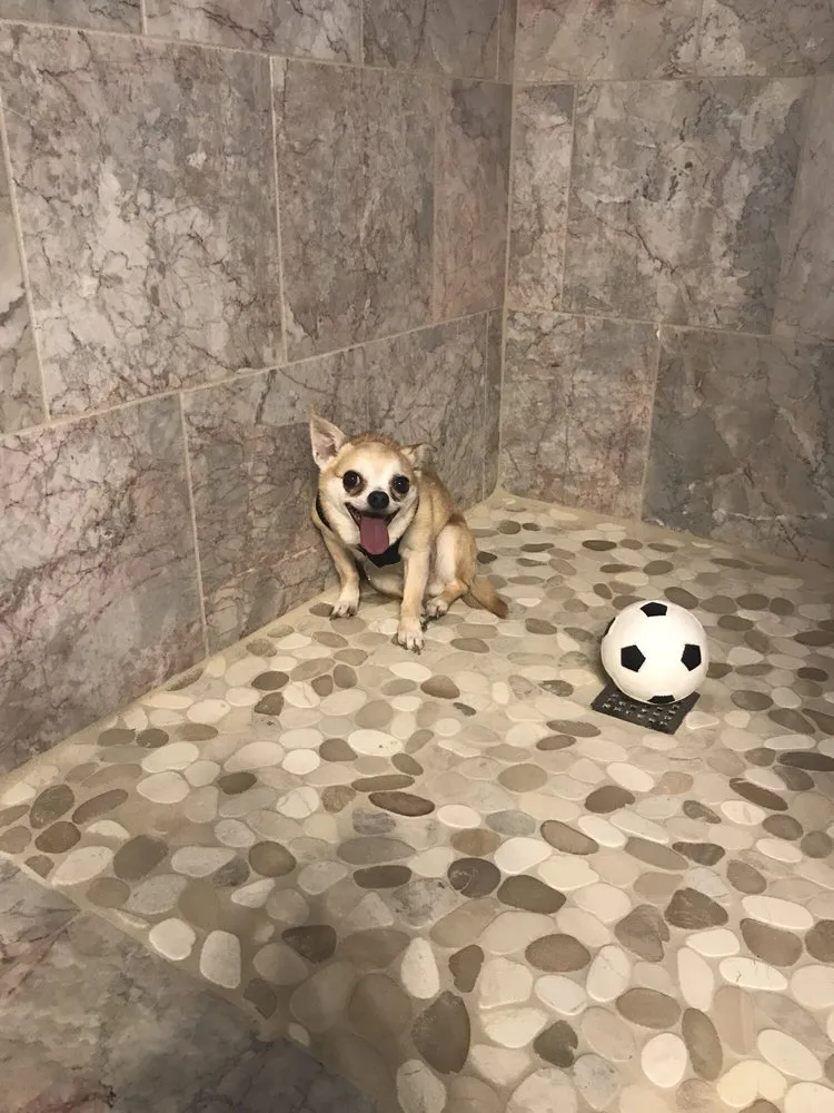 Affordable emergency plumbing experts serving Portland, OR - BP Plumbing & Construction Services