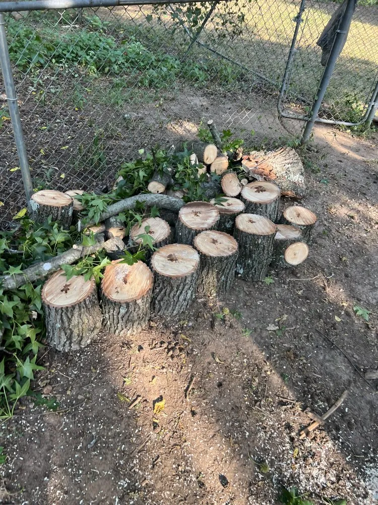 Slide of BPS Services